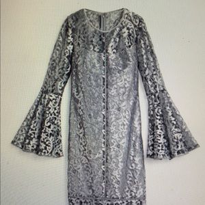 Beautiful Pewter lace dress